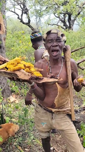 तंजानिया के ये आदिवासी आज भी शहद से जिंदा हैं! #facts #youtubeshorts #adivasi #africa #animals #gk