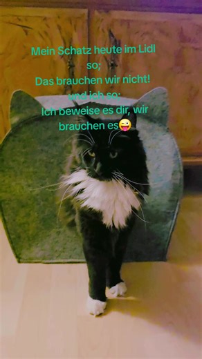 #wirbrauchenes @MCO of Giant Kingdom