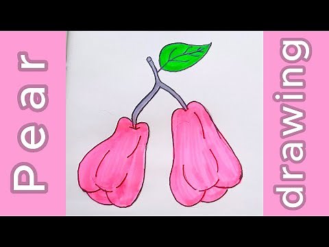 Easy Pear Drawing Tutorial for Beginners | Step-by-Step Guide