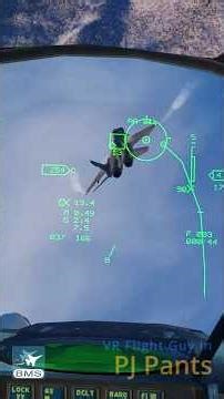 EF2000 Delta Beta Gun Piper Test #falconbms #ef2000delta #vr