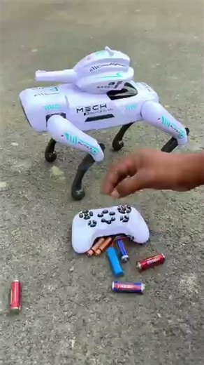 Two Robots, One Mission 🤖