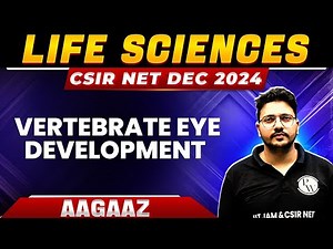 Vertebrate Eye development | Developments Biology | CSIR NET Dec 2024 | CSIR NET Life Sciences | PW