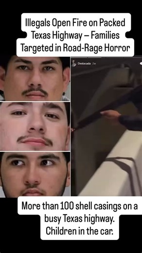 RedWhiteBlue News | Dallas police arrested multiple illegal immigrants after gunfire erupted on the Margaret McDermott Bridge over I-30 during a violent... | Instagram