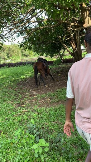 🐲 (@mapoon_marn4t5)’s videos with original sound - 𝓨𝓱 𝓾𝓯𝓵𝓪