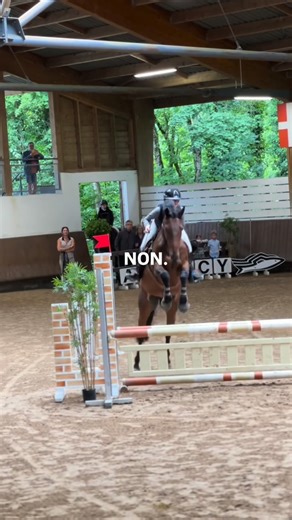 Et Hop & Julie🇪🇸 | Écoutez vous et surtout apprenez à écouter votre cheval c’est le plus important dans une relation homme cheval❤️‍🩹 ~ Nos débuts n’ont pas... | Instagram