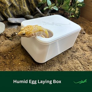 Lay Box Humid Hide, Reptile Egg Laying Box, Humidity House for Crested, Gargoyle & Leopard Gecko or Chameleon, Gift for Pet Lover - Etsy