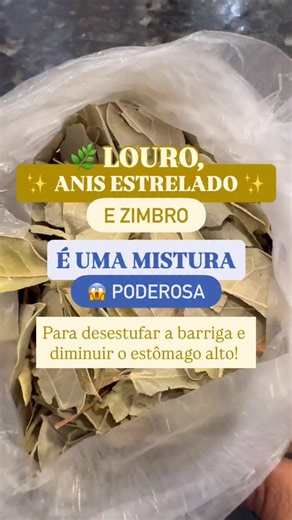 Cláudia Benevides | Nutróloga on Instagram: "🌿 Louro, anis-estrelado e zimbro: uma mistura natural para desestufar a barriga e reduzir o estômago alto, especialmente na menopausa. Essa combinação de ervas tem ação anti-inflamatória, digestiva e carminativa, ajudando a reduzir gases, desconforto abdominal e retenção de líquidos. Quando usada da forma correta, pode apoiar o emagrecimento da mulher no pré e pós-menopausa como parte de um conjunto de hábitos saudáveis. Mas atenção: chá não é milag
