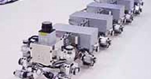 ムカデはなぜあれほど機敏に動けるのだろうか？ －多足ロボットを用いた実験的検証－