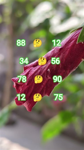 Aisa kaun sa number hai BTS question ♥️🤔💞#viralvideo #bts #trendingshorts #btsarmy