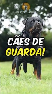 The 5 best guard dogs in the world!