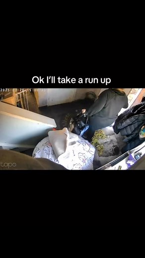 14K views · 415 reactions | When Odin didn’t want his momma to leave him nanny’s  | Odin the XL bully | Facebook