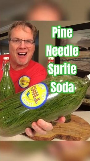 Homemade Pine Needle Sprite - The New Soda Craze! #howto #soda #sprite #recipe #howtomake