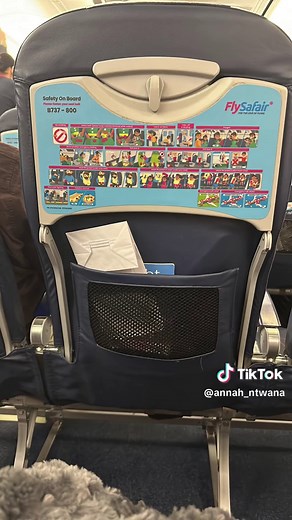 Flysafair Flight Booking and Amenities