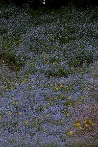 Where to stream Intersection (2015) online? Comparing 50  Streaming Services