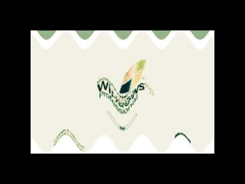 (New effect) Happy Windows XP slow 8X {Autotropic mode - request}