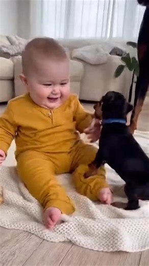 Mama Doberman Saves the Playtime #BabyAndPuppy #DobermanMom #WholesomeMoment #AdorablePets #CuteBabyMoments #PuppyPlaytime #FamilyInstincts #PureJoy #HeartMelting #babyanddog #babiesandpets #funnybabies #dogvideos #babylaugh #adorablemoments #petsandbabies #cuteanimals #heartwarming #cutenessoverload #familyfriendly | Baby & Pets