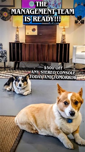 Happy Small Business Saturday! 🇺🇸 . I’m back from NYC and we are officially OPEN at Merchants on Broad. To celebrate Shop Small Saturday, I’m doing the biggest deal of the year: . 🚨 $500 OFF any stereo console in the shop today and tomorrow. If you’ve been thinking about upgrading your listening space with a vintage piece that has modern sound, today is the day. Come say hi, listen to some vinyl, and support local business (and support Stanley’s treat habit). . 📍 Location: Merchants on Broa.