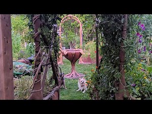 A ferrocement garden tour