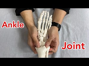 Movement of ankle joint (English)