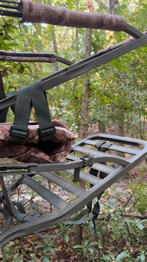 Austin Anderson on Reels