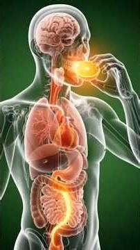 Science in action. What happens while Orange Inside of your body?