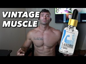 Vintage Muscle 1 - ANDROL 1 - DHEA Review ( Fully Explained )