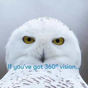 Starting at just £6,995, the award winning Dacia Sandero isn’t for everyone. But you’re not everyone are you. | Dacia