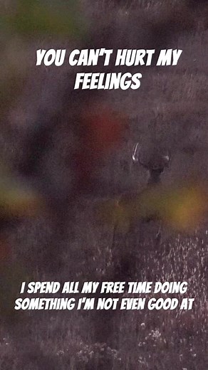 40K views · 613 reactions | It’s painful 歷 #Bowcamp #DeerSeason #huntingfails #funnyvideos | Bow Camp | Facebook