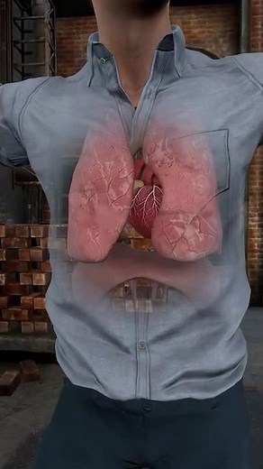 What Happens To Your Body When Smoking Weed