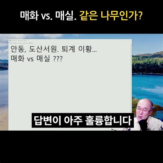 Are plum and apricot the same tree?