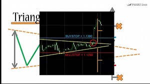 forex trading program (360p)