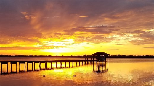 5 things you need to know about cleaning up the Indian River Lagoon | Opinion