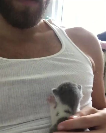 When was lil tiddy. Volume up for maximum cuteness! | Fur Stream