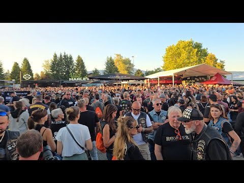 This Is Harley Village at Its Best! 🤯