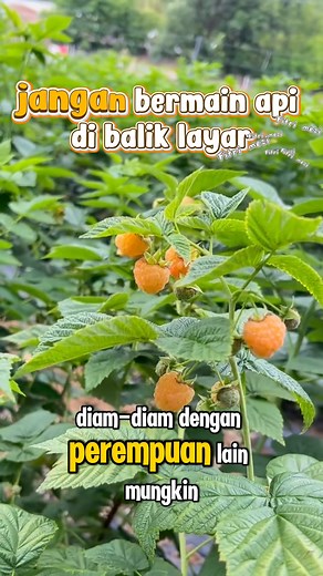 jangan bermain api di balik layar #fyp #beritaviral #fightcoronavirus #fyp #viralchallenge #motivasidiri #reels #fightagainstcoronavirus #motivation #viral #motivasi | Fitri Mezi