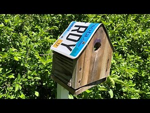Build a bird house using license plates