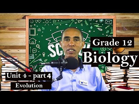 Grade 12 Biology Unit 4 part-4 Evolution