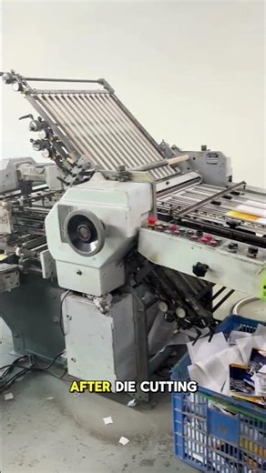 How Carton Packaging Is Made in Factories