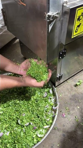 Jackson Export Quality New Helicopter Vegetable Cutter #vegetablecutter #jacksonmachine