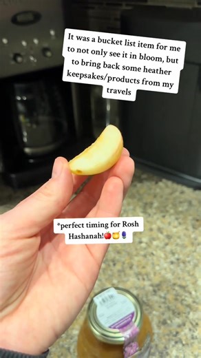 Heather is an important and iconic plant that is of priority habitat | Potterybydanielle