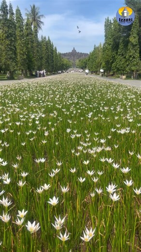 jogja FUN tastic on Instagram: "WONDERFUL 1 DAY TOUR IN YOGYAKARTA 🇲🇨 This is the best recommendation for a tour in Yogyakarta that covers the most Yogyakarta landmark. • Borobudur Budhist temple • Merapi Volcano • Prambanan Hindu temple in 1 day tour. Special thanks to : All very valuable guests who have enjoyed Jogja with us: @izzatijogjatour +62 81 228 1234 72 www.yogyafuntour.com Your reliabletour partner for FUN & memorable tour. . #yogyakarta #triptojogja #thingstodoinyogyakarta #healing