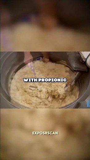 Protein Bread Acts Like a Sponge 🍞
