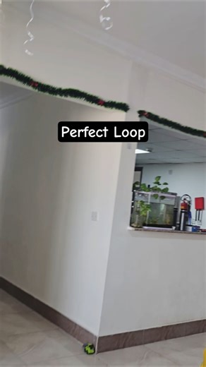 PERFECT LOOP! #shorts #viral