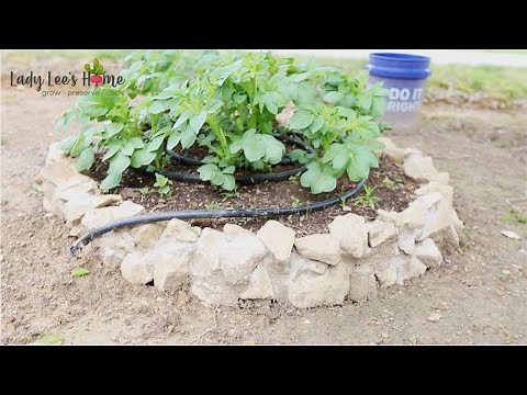 DIY Raised Rock Garden Beds