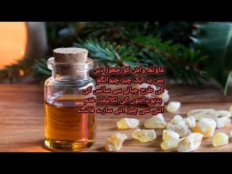 ماؤتھ واش کو چھوڑ دیں بس یہ ایک چیز چیوانگم کی طرح چبانے سے سانس کی بدبو،دانتوں کی تکالیف، ختم