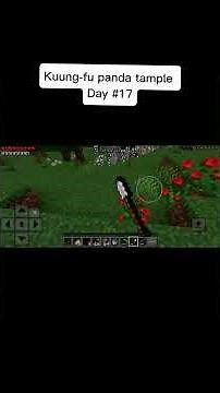Kuung-fu Panda Tample day #17. in Minecraft survival