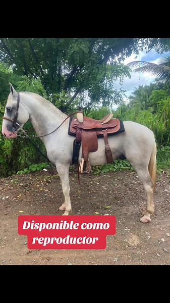 Cuentas recomendadas