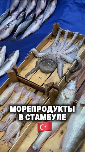 АМБАССАДОР 📍СТАМБУЛА 🇹🇷 on Instagram: "📍ЕЩЕ ОДНА ИНТЕРЕСНАЯ ЛОКАЦИЯ В СТАМБУЛЕ 🇹🇷 За приготовление рыбы на гриле продавцы берут отдельную оплату от 200 лир, как договоритесь. Основная часть рыбы и морепродуктов — это свежий улов местных рыбаков из Мраморного моря и Черного моря , которое омывает Стамбул. 📍Tarihi Karaköy Balikgilar ÇarsisI Адрес: Arap Cami, Fermeneciler Cd. No:35, 34421 Beyoglu/ istanbul, Турция #стамбул #istanbul #karaköy #