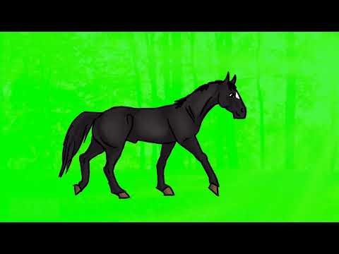 Laufendes Pferd animieren | Animation Step by Step einfach erklärt (FlipaClip Tutorial)