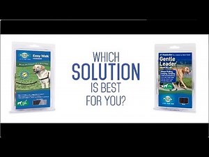 How to Choose Between the Easy Walk® Harness and Gentle Leader® Headcollar